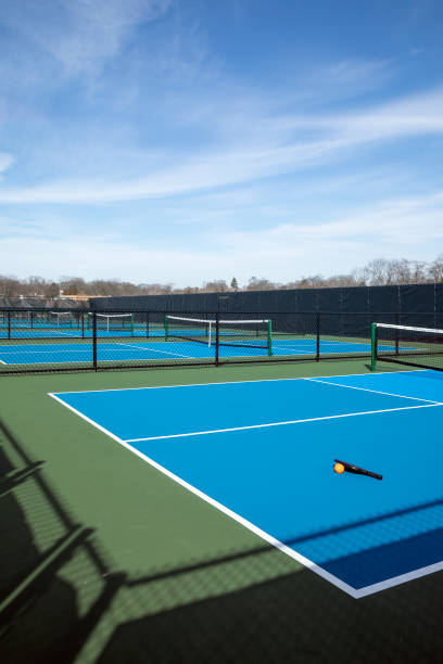 istock Pickleball Court with Paddle and Ball 1482008347