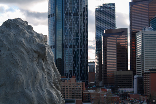 October 2019 - Calgary, Canada: The head of the original Centre Street Bridge Lion which was placed in Rotary Park, Calgary