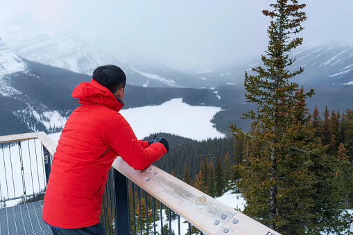 A traveler man standing and enjoying the view of Peyto lake similar a fox with snowfall in winter at Banff national park, AB, Canada