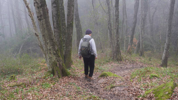 istock Man with backpack walking in mysterious relic forest in fog. 1482013604