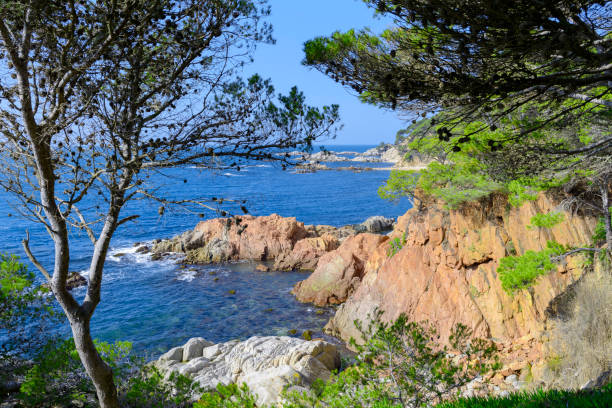 Enchanted Shores: Captivating Views of Costa Brava (Girona - Spain) Enchanted Shores: Captivating Views of Costa Brava (Girona - Spain) tossa de mar stock pictures, royalty-free photos & images
