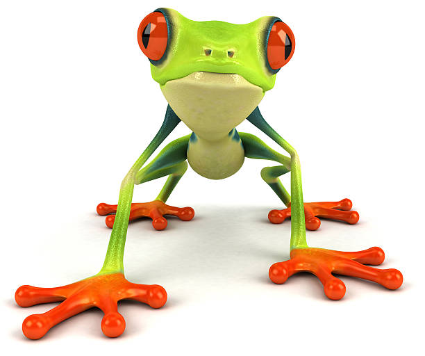 cool rana - frog three dimensional shape animal green foto e immagini stock