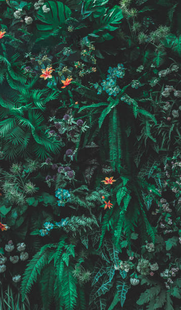 istock Herb wall, plant wall, natural green wallpaper and background. 1482034316