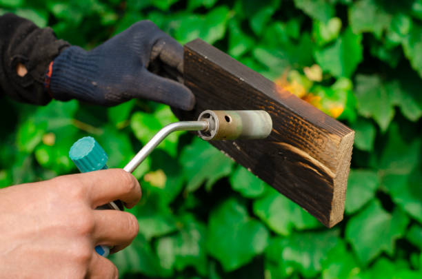 istock Wood fire treatment with a gas burner. DIY process. 1482038628