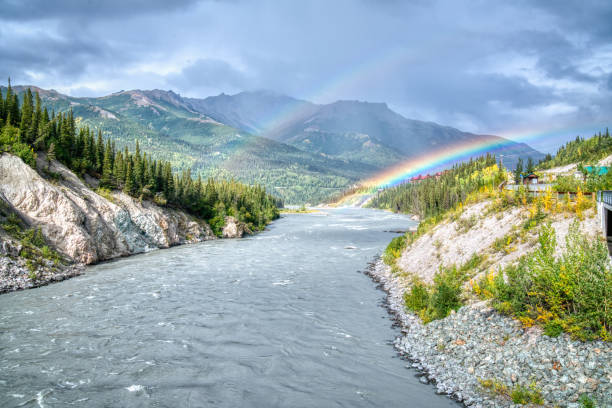 istock Rainbow over the Nenana River in Denali National Park 1482042038