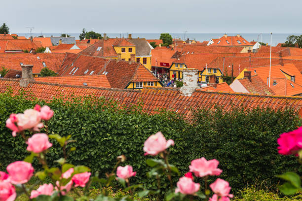 View to town red roofs and roses in forground. Bornholm island Denmark.