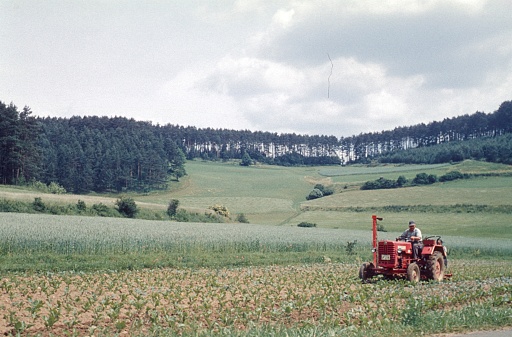 Forchheim, Upper Franconia, Bavaria, Germany, 1965. Farmer on his tractor harvesting beet on a field.