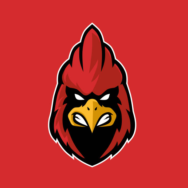 cardinal mascot for logo sport and esport cardinal mascot for logo sport and esport cardinal mascot stock illustrations