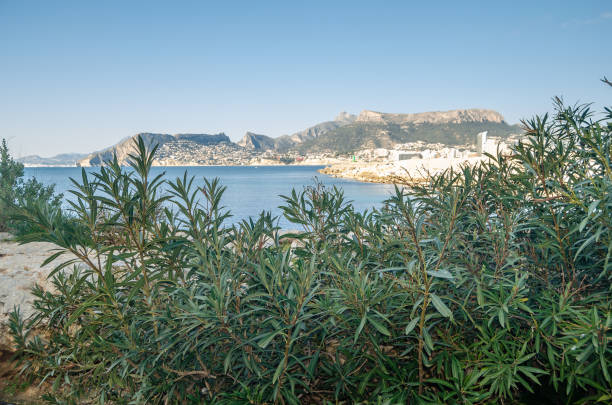 View from the Penon de Ifach Natural Park in Calpe, Alicante province, Valencian Community, Spain