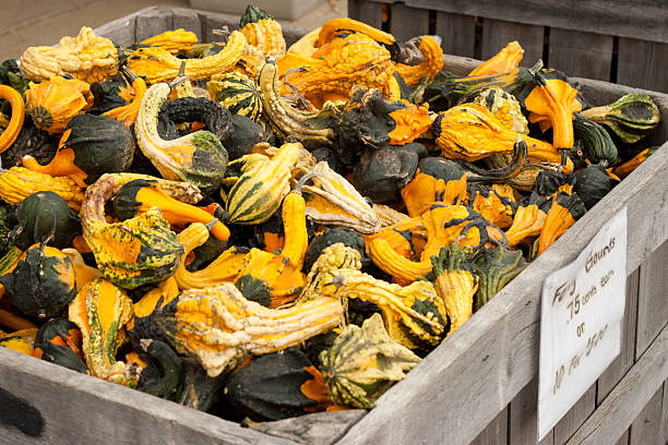 istock Gourds Farmers Market 148204843