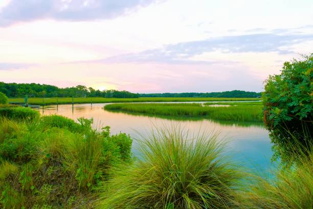 istock Marsh Sunrise at High Tide- Hilton Head, South Carolina 1482056025