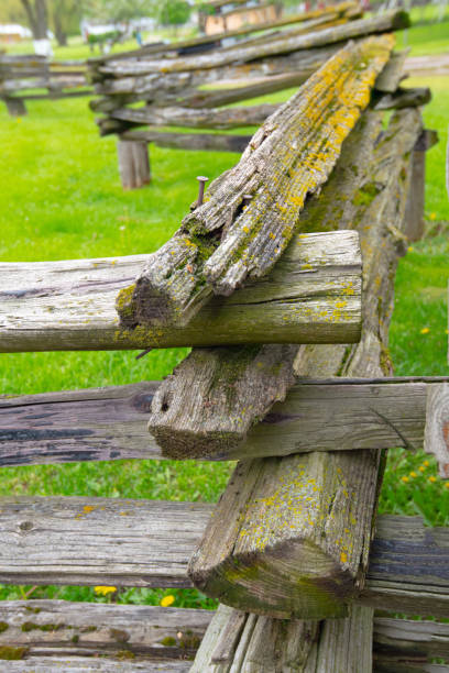 istock Old weathered Split rail fence- Goshen County, Indiana 1482056615