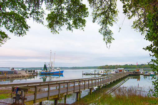 Shrimpboat Dock with live oak tree- Hilton Head, South Carolina