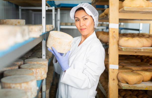 istock Woman cheesemaker checking aging process of cheese in maturing chamber 1482060032