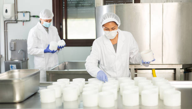 istock Workwoman in protective mask shaping cheese wheels in dairy workshop 1482060044