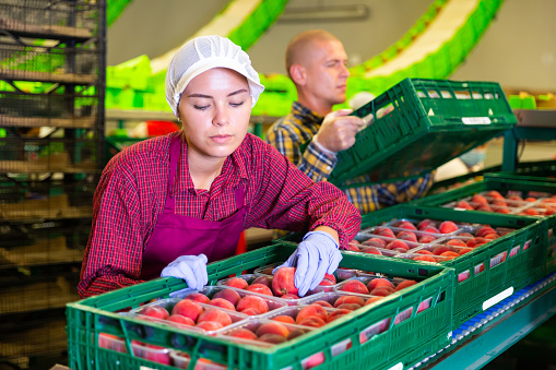 https://media.istockphoto.com/id/1482061029/photo/european-woman-and-man-working.jpg?b=1&s=170667a&w=0&k=20&c=XFy8xF7MSTo-M2A9TWtPirF517C7xJzJ-DqcXgje1dY=