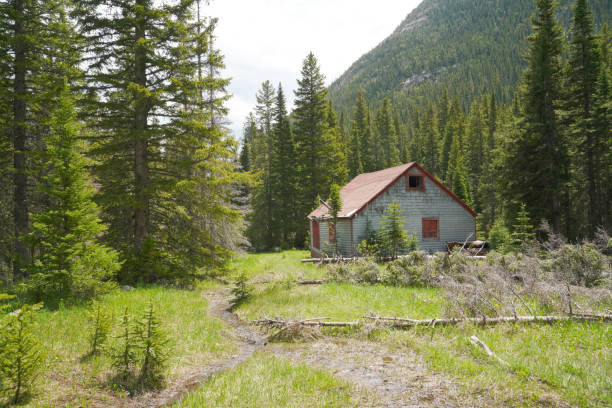 istock Lost Lake, Colorado 1482062403