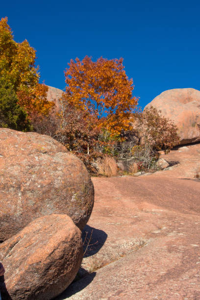 istock Elephant Rocks SP - Boulders & Granite Hillside Close-up Vertical 1482063267