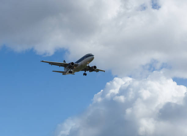 istock The plane flies in the blue sky with clouds. 1482063285