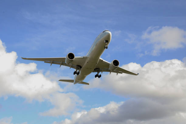 istock Background with a flying plane in the sky. 1482063304