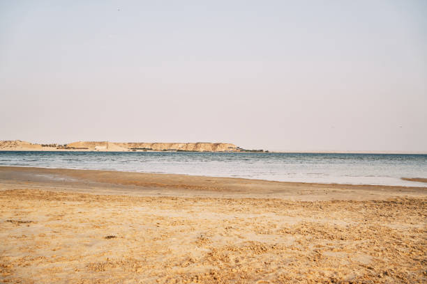 istock Sea and beach at Dakhla city 1482066714