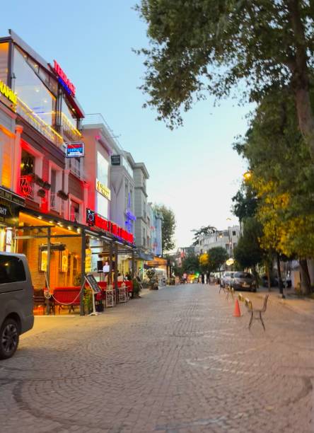 istock different views of istambul 1482072442