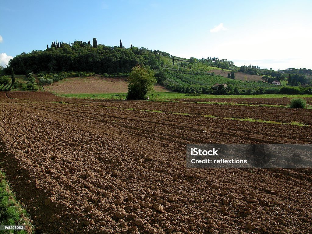 Agriculture Plowed ground, with brown stones and loose soil Agricultural Field Stock Photo