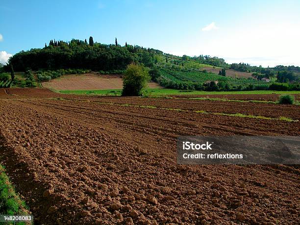 Agriculture Stock Photo - Download Image Now - Agricultural Field, Agriculture, Backgrounds