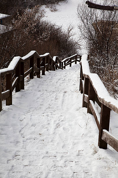 neve - schneelandschaft - fotografias e filmes do acervo