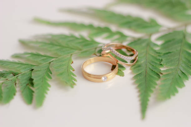 istock Couple Rings Photo with Leafy Background 1482083400