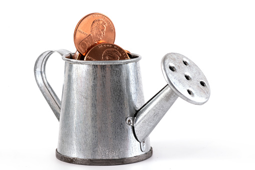 Miniature watering can with coins in denominations of 1 American cent on a white background