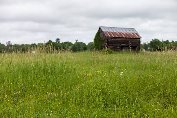 Little Barn - foto de acervo