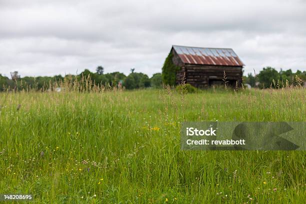 Littledaschaminés - Fotografias de stock e mais imagens de Ao Ar Livre - Ao Ar Livre, Campo agrícola, Canadá