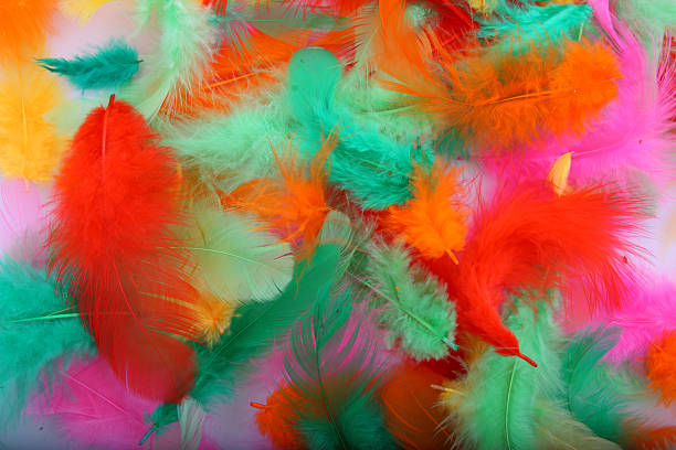 istock Background made from bird colorfull feathers 148208990