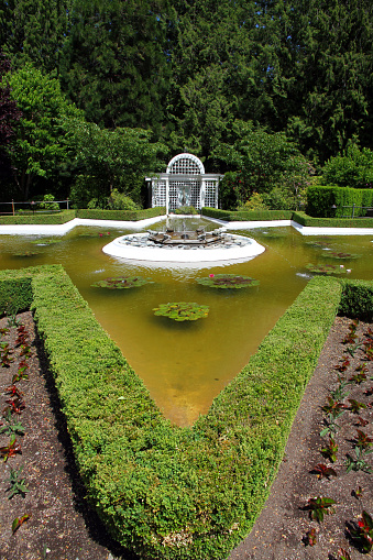 A fountain in a formal garden