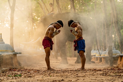 Moment of a two male muay thai practitioner demonstrating muaythai techniques and skill during sunset moments with a child mahout and an elephant at the background