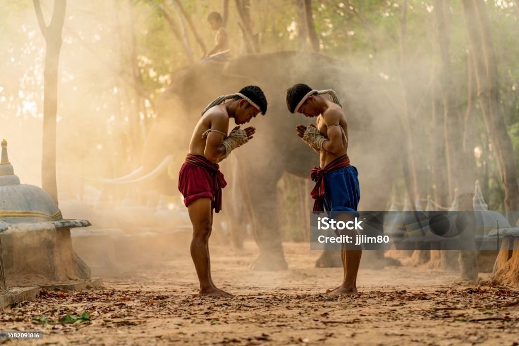 Muay Thai fighters. Thai kick boxing. Muay thai boxers practitising and demonstrating muaythai techniques and skill during sunset moments with a mahout and two elephants at the background Moment of a two male muay thai practitioner demonstrating muaythai techniques and skill during sunset moments with a child mahout and an elephant at the background Muay Thai Stock Photo