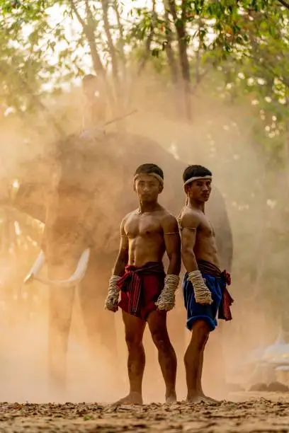 Moment of a two male muay thai practitioner demonstrating muaythai techniques and skill during sunset moments with a child mahout and an elephant at the background