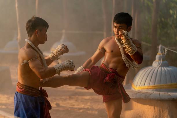 istock Muay Thai fighters. Thai kick boxing. Muay thai boxers practising muaythai techniques and skill with each other during sunset moments at an elephant camp 1482092442