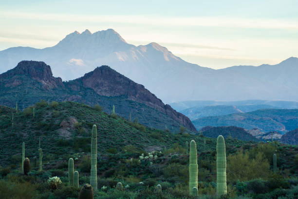 Four Peaks illuminated by sunrise from Superstition Wilderness