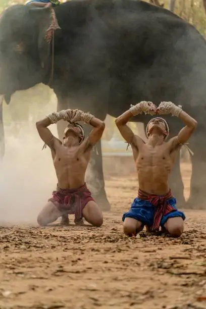 Moment of a two male muay thai boxers practising muaythai techniques and skill with each other during sunset moments with an elephant at the background