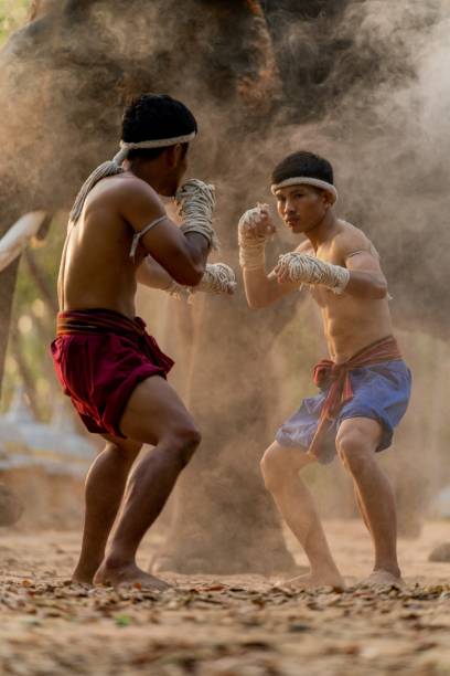 istock Muay Thai fighters. Thai kick boxing. Muay thai boxers practising muaythai techniques and skill with each other during sunset moments with an elephant at the background 1482092762