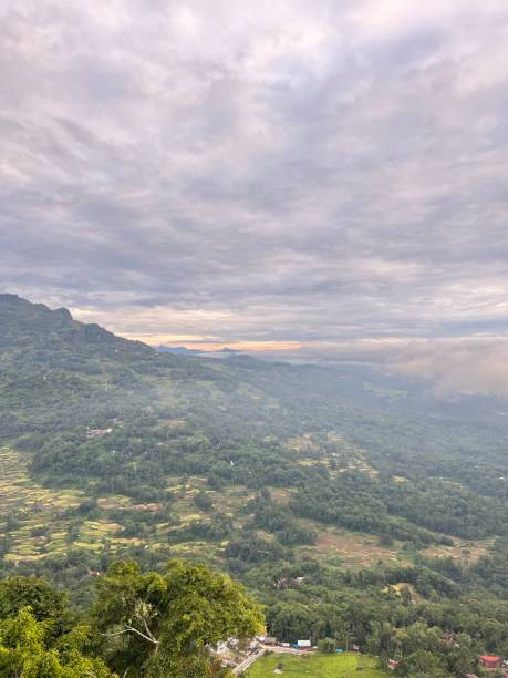 istock Nature view from Limbong, Toraja 1482099987