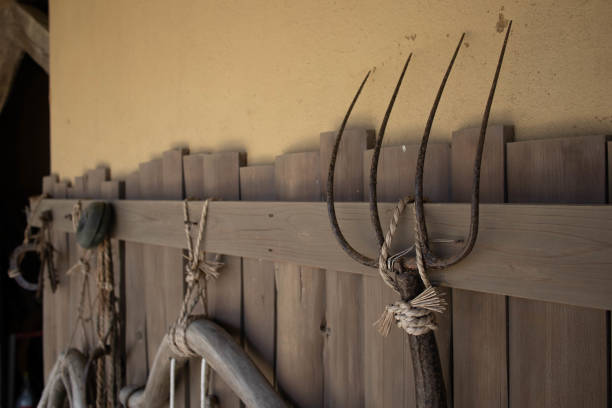 Weathered gardening pitchfork isolated. Front and profile views.A selection of related photographs: