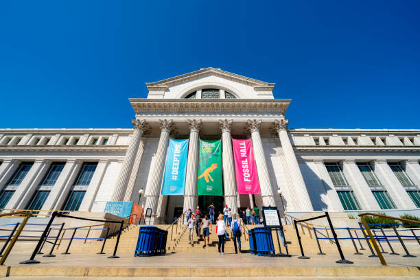 il national museum of natural history è un museo di storia naturale amministrato dalla smithsonian institution, situato sul national mall, washington d. c. - smithsonian institution foto e immagini stock