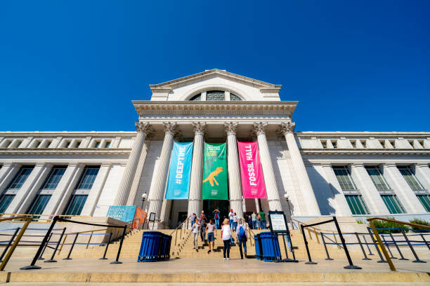 The National Museum of Natural History is a natural history museum administered by the Smithsonian Institution, located on the National Mall, Washington D. C. United States, Washington - September 21, 2019: The National Museum of Natural History is a natural history museum administered by the Smithsonian Institution, located on the National Mall. smithsonian museums stock pictures, royalty-free photos & images