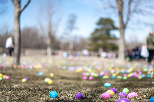 Open field with hundreds of plastic Easter eggs for a kids public hunt. . High quality photo