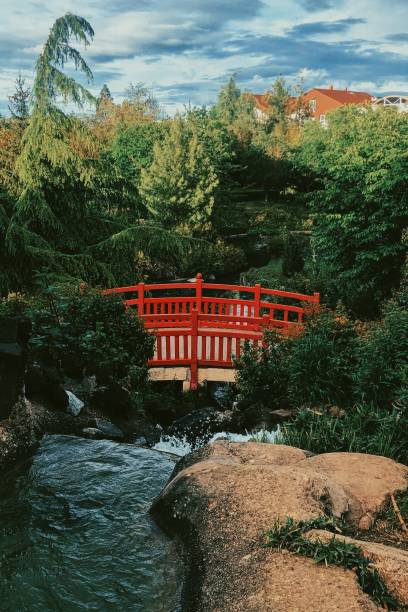 istock Japanese bridge in a park 1482113047