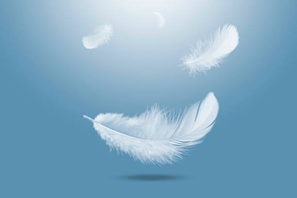 istock Abstract White Bird Feathers Falling in The Air. Floating Feathers in Heavenly 1482119537