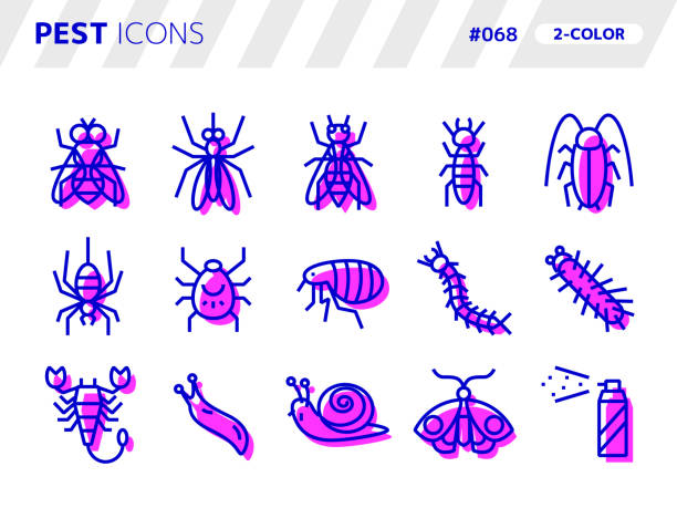 ilustrações, clipart, desenhos animados e ícones de conjunto de ícones de estilo de 2 cores relacionado ao pest_068 - centipede poisonous organism toxic substance insect